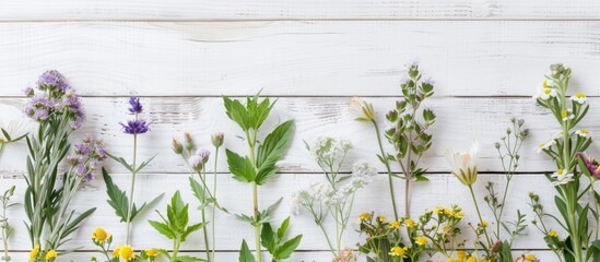 Herbs, flowers, and berries displayed against a white wooden backdrop, with ample copy space image.