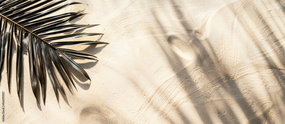 Fototapete Top view of a palm leaf shadow on sandy surface, with empty space for text or image embedded in the scene. Copy space image. Place for adding text and design