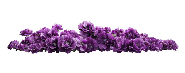 Dense Cluster of Purple Flowers