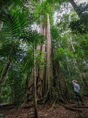 next to a giant - neben einem Giganten