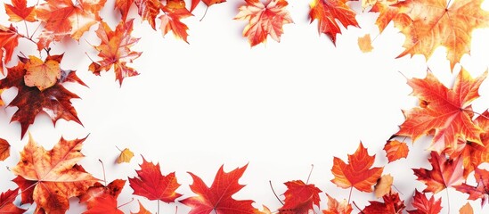 Autumn leaves in blank banner, for a copy space image.