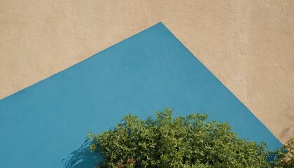plant against a blue wall background with copy space
