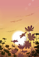 夕暮れ時のコスモス畑のイラスト
