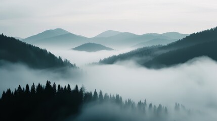 Silhouette of a foggy wild landscape, magical mist over hills, abundant forest and mountains, serene and mystical, symbol of longevity