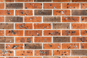 Brick wall of house texture with mortar between orange speckled brickwork