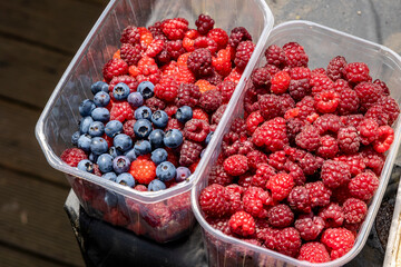 Frische Heidelbeeren und Himbeeren aus dem Garten