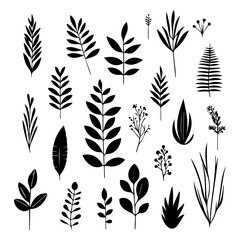 collection of plant and flower design elements