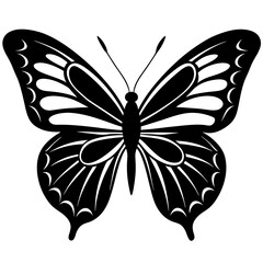 butterfly on white background