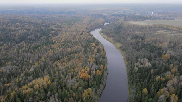 a flight from above over the Volga river surrounded by an autumn forest in the Tver region. Enviroment concept. High quality 4k footage