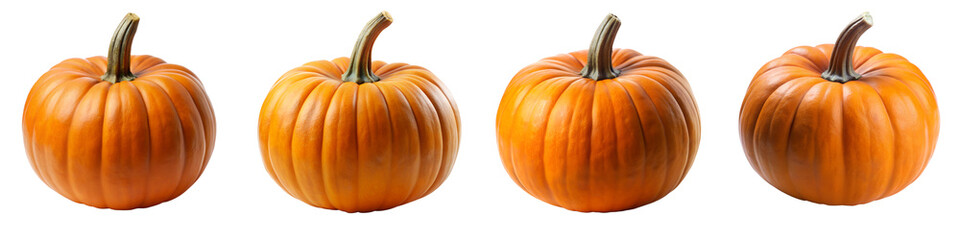 Obraz premium Orange pumpkin highly detailed isolated on transparent background PNG file
