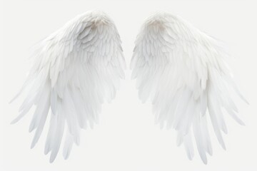 Obraz premium White angel wing bird archangel softness.