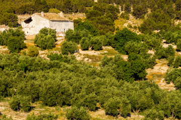 Fototapeta premium Huesa, sierras de Cazorla, Segura y Las Villas, Jaen, Andalucia, Spain