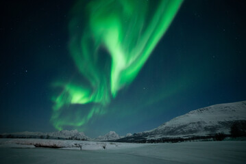 Aurora borealis over snowy land