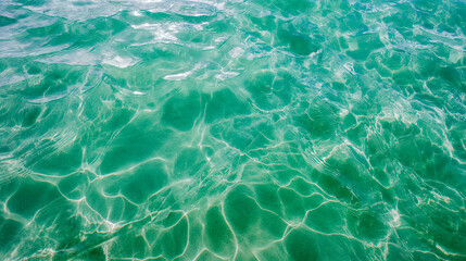 Obraz premium 透き通ったプールの水面 - 夏の涼しさ