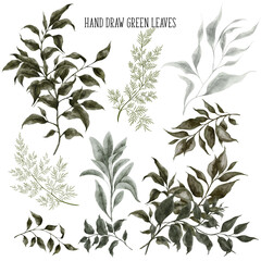 Hand draw green clipart. Watercolor leaves, greenery bouquet, isolated on transparent background