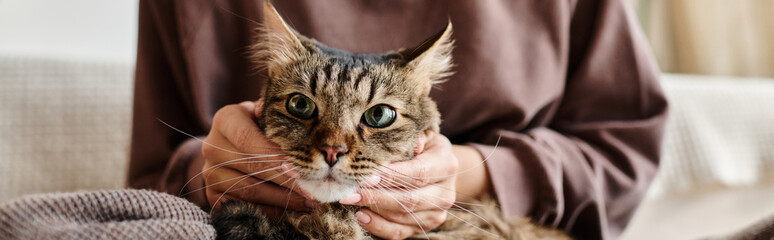 An attractive woman with short hair peacefully holds her beloved cat in her hands while at home.