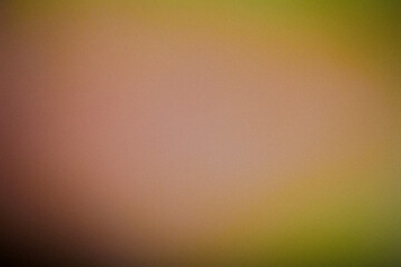 Color gradient grainy Abstract background, noise texture effect