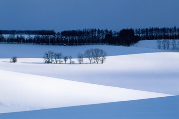 雲間の丘（美瑛町）