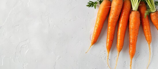 Orange carrots displayed on a white backdrop, showcasing vegetables of orange hue with available copy space image.