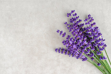 Fototapeta premium Bouquet of blooming lavender flowers on white concrete, plaster surface with copy space, top view, close up. Floral background, mockup, template