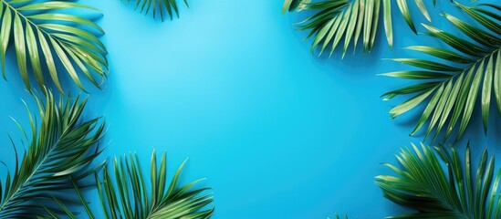 Top view banner featuring palm tree leaves on blue background with text space. Perfect for travel agency.