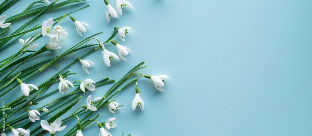 Aufkleber flat lay with a paper card and snowdrops on a light blue backdrop, providing room for text with a co