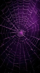 Fototapeta premium Dark purple spider web backgrounds arachnid invertebrate.