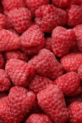Fresh juicy raspberries close up. Healthy food organic nutrition