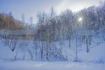 Vire of nature near the highway in winter season of Japan