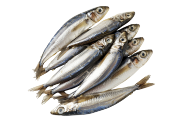 Anchovies isolated on transparent background