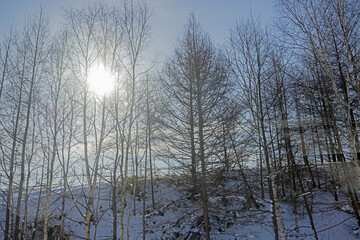 Vire of nature near the highway in winter season of Japan
