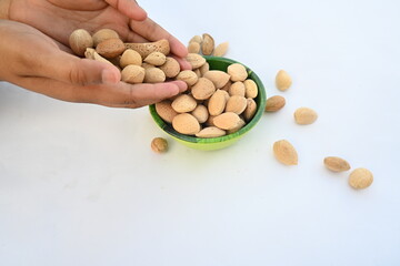 Almond with shell. It's other name Prunus amygdalus and Prunus dulcis. The almond is also the name of the edible and widely cultivated seed of this tree. indian almond.