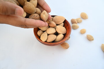 Almond with shell. It's other name Prunus amygdalus and Prunus dulcis. The almond is also the name of the edible and widely cultivated seed of this tree. indian almond.