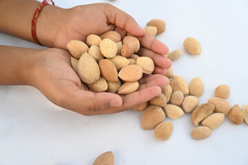 Almond with shell. It's other name Prunus amygdalus and Prunus dulcis. The almond is also the name of the edible and widely cultivated seed of this tree. indian almond.