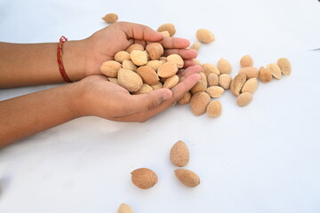 Almond with shell. It's other name Prunus amygdalus and Prunus dulcis. The almond is also the name of the edible and widely cultivated seed of this tree. indian almond.