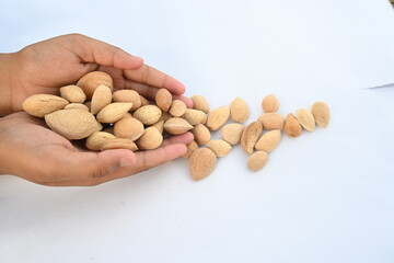 Almond with shell. It's other name Prunus amygdalus and Prunus dulcis. The almond is also the name of the edible and widely cultivated seed of this tree. indian almond.