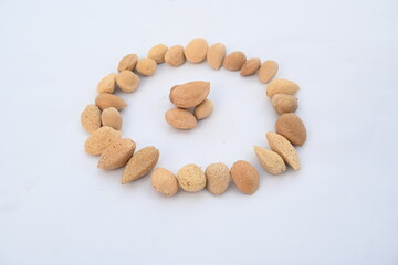 Almond with shell. It's other name Prunus amygdalus and Prunus dulcis. The almond is also the name of the edible and widely cultivated seed of this tree. indian almond.