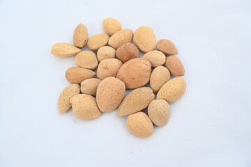Almond with shell. It's other name Prunus amygdalus and Prunus dulcis. The almond is also the name of the edible and widely cultivated seed of this tree. indian almond.