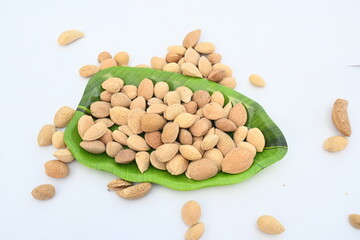 Almond with shell. It's other name Prunus amygdalus and Prunus dulcis. The almond is also the name of the edible and widely cultivated seed of this tree. indian almond.