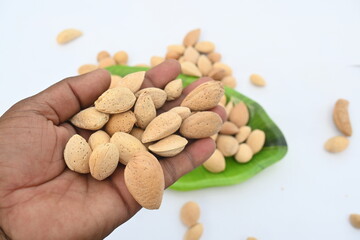 Almond with shell. It's other name Prunus amygdalus and Prunus dulcis. The almond is also the name of the edible and widely cultivated seed of this tree. indian almond.