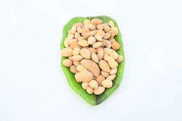 Almond with shell. It's other name Prunus amygdalus and Prunus dulcis. The almond is also the name of the edible and widely cultivated seed of this tree. indian almond.