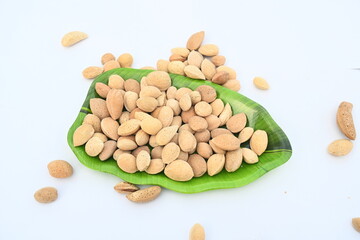 Almond with shell. It's other name Prunus amygdalus and Prunus dulcis. The almond is also the name of the edible and widely cultivated seed of this tree. indian almond.