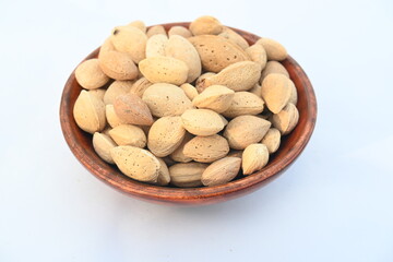 Almond with shell. It's other name Prunus amygdalus and Prunus dulcis. The almond is also the name of the edible and widely cultivated seed of this tree. indian almond.