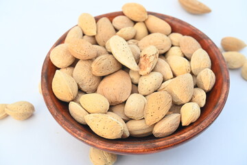 Almond with shell. It's other name Prunus amygdalus and Prunus dulcis. The almond is also the name of the edible and widely cultivated seed of this tree. indian almond.