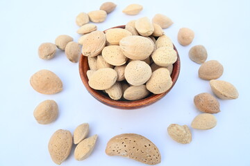 Almond with shell. It's other name Prunus amygdalus and Prunus dulcis. The almond is also the name of the edible and widely cultivated seed of this tree. indian almond.