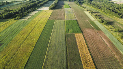 Colorful Farmlands with Geometric Shapes