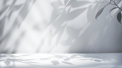 Obraz premium Blurred shadow from leaves on the light gray wall. Minimal abstract background for product presentation. Spring and summer.