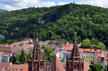 T&uuml;rme am Freiburger M&uuml;nster vor dem Schlossberg im Fr&uuml;hling