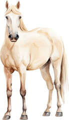 Obraz premium Adorable watercolor illustration of a horse clipart for kids, featuring soft neutral colors, isolate on Transparent background