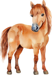 Naklejka premium Adorable watercolor illustration of a horse clipart for kids, featuring soft neutral colors, isolate on Transparent background